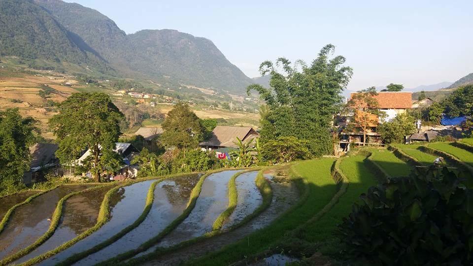 Ta Van Green Hills Homestay Sapa Exterior foto