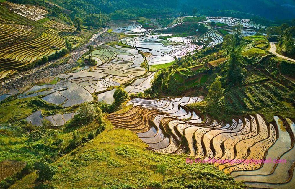 Ta Van Green Hills Homestay Sapa Exterior foto